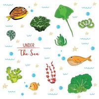 Bright and colorful illustration of various marine creatures. vector