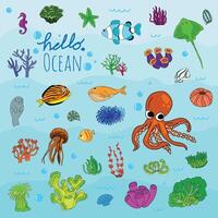 Bright and colorful illustration of various marine creatures. vector