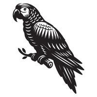 Parrot a Silhouette style white background vector