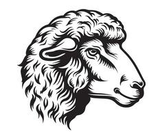 Sketch of sheep, Hand drawn illustration vector