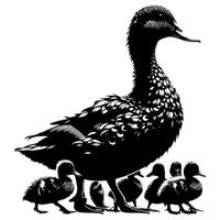 Duck With Duckling Walking and Cute Baby Duck duck illustration vector