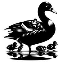 Duck With Duckling Walking and Cute Baby Duck duck illustration vector
