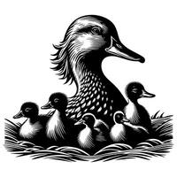Duck With Duckling Walking and Cute Baby Duck duck illustration vector