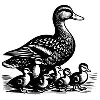 Duck With Duckling Walking and Cute Baby Duck duck illustration vector