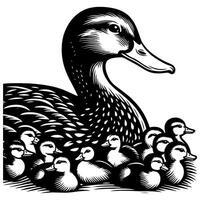 Duck With Duckling Walking and Cute Baby Duck duck illustration vector