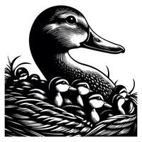 Duck With Duckling Walking and Cute Baby Duck duck illustration vector