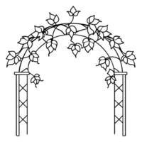 Flowering Vines Climbing Trellis in Line Art vector