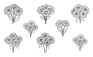 Zinnia Bouquet Set in Line Art vector