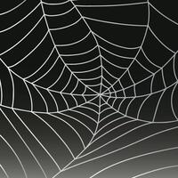 Halloween web. Frame, background for decoration. Handmade web. illustration. vector