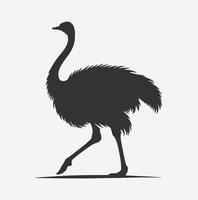 Majestic Ostrich Silhouette, Perfect for Artistic and Design Projects vector