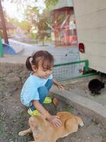 Children actively play and feed the animals, together with their parents in the mini zoo in the park area, enjoying the holiday period, doing positive activities and having fun on Sundays photo