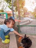 Children actively play and feed the animals, together with their parents in the mini zoo in the park area, enjoying the holiday period, doing positive activities and having fun on Sundays photo
