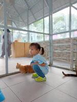 Children actively play and feed the animals, together with their parents in the mini zoo in the park area, enjoying the holiday period, doing positive activities and having fun on Sundays photo