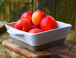 apricots in a white ceramic bowl on a wooden background on a kitchen board photo