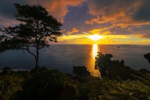 Silhouette of a tree in the beach with colorful sunset over the ocean in the background photo