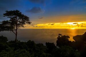 Silhouette of a tree in the beach with colorful sunset over the ocean in the background photo
