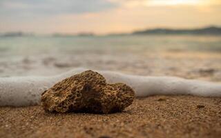 Closeup shot of a stone in the sand of beach with foam photo