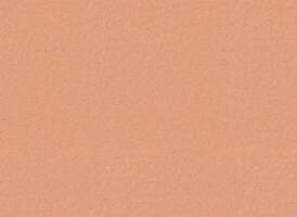 Earth colored peach salmon Rhesho paper texture. Seamless handmade craft recycled paper background surface. Natural pigment applied by hand on one page side. 120gsm photo