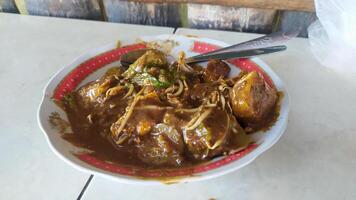a serving of typical Indonesian food known as rujak cingur, this food is distinctive for its delicious petis sauce and its filling which is full of meat and vegetables photo