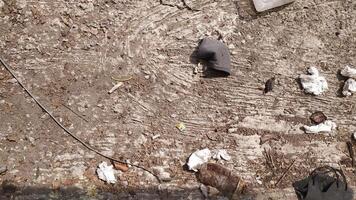 The surface of the ground is full of tissue waste scattered everywhere accompanied by dust stuck to the floor. very suitable for the background of a cleanliness campaign photo