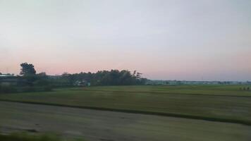 view of rice fields in the middle of the village, photo taken in a vehicle is suitable as a background for a design with a blurry photo theme