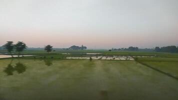 view of rice fields in the middle of the village, photo taken in a vehicle is suitable as a background for a design with a blurry photo theme