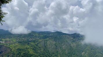 Misty Morning in the Ooty Mountains photo