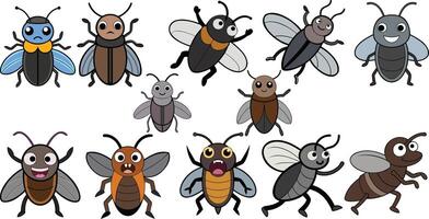 Click Beetle flat design ,animal design vector