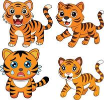 tiger design ,animal design vector