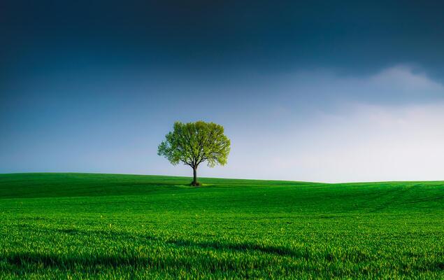  Simple Nature Stock Photos, Images and Backgrounds for Free Download