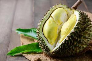 lava Durian Sisaket, it is grown in an ancient volcanic area, the Phanom Dong Rak mountain range, photo