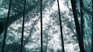 Abstract view through a glass ceiling with a geometric frame structure, showcasing a patterned and textured perspective of trees and sky video