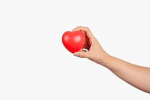Young girl holds a symbolic red heart in the palms on a white background. photo
