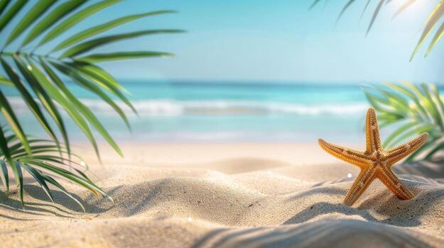 concha en la playa foto