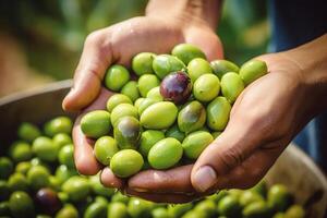Hands with Green Olives photo