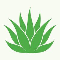 Flat illustration of alovera plant isolated on light green background vector