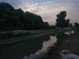 Peaceful Rural Landscape with Trees Reflecting in Water at Dawn photo