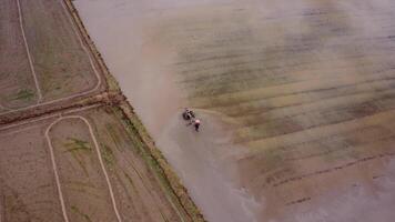 Aerial view of a tractor plowing the field in the morning. Agriculture tractor in cultivated field, sowing seeds video