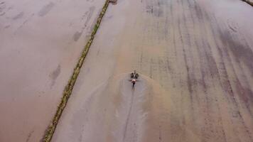 Aerial view of a tractor plowing the field in the morning. Agriculture tractor in cultivated field, sowing seeds video