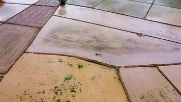 Aerial view of a tractor plowing the field in the morning. Agriculture tractor in cultivated field, sowing seeds video