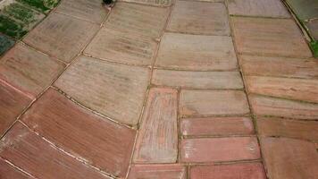 Aerial view of a tractor plowing the field in the morning. Agriculture tractor in cultivated field, sowing seeds video
