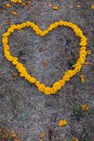 The bright yellow flowers in the background are arranged in a heart shape on the grass and the heart shape means I love you and is also a symbol of love and friendship for one another. Copy Space photo