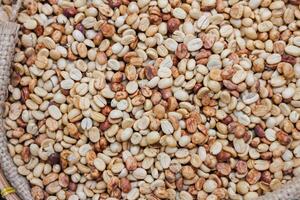 Farmers harvest coffee beans and dry them in the sun to reduce moisture in the coffee beans and wait for sorting to enter the coffee roasting process to meet the required standards before exporting. photo