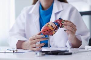 realistic looking heart model in hands of doctor is symbol of campaign to care for the health of heart disease patients and encourage people at risk of heart disease to come in for regular check-ups. photo