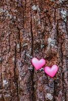 Two pink hearts are placed on background of natural bark and have Copy Space for inserting love message. heart shaped symbol background says I love you and heart shape is also symbol of friendship. photo