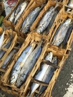 boxes of fish are lined up on a table in a market. photo