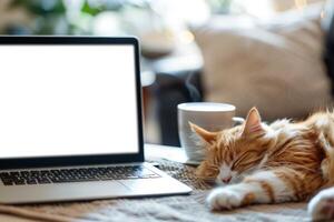 Laptop Mockup with cute cat photo