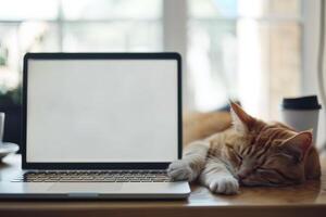 Laptop Mockup with cute cat photo