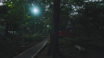 Dimly Lit Park at Dusk video