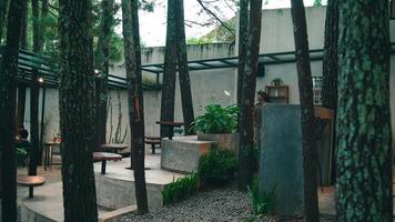 Tranquil outdoor cafe setting with lush greenery, wooden tables, and a relaxed patron enjoying the serene environment amidst tall trees video
